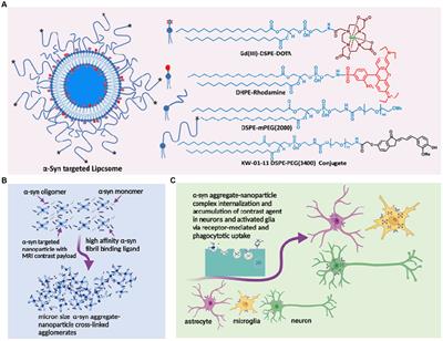 A dual target molecular magnetic resonance imaging probe for noninvasive profiling of pathologic alpha-synuclein and microgliosis in a mouse model of Parkinson’s disease